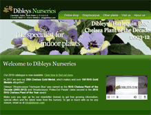 Tablet Screenshot of dibleys.com